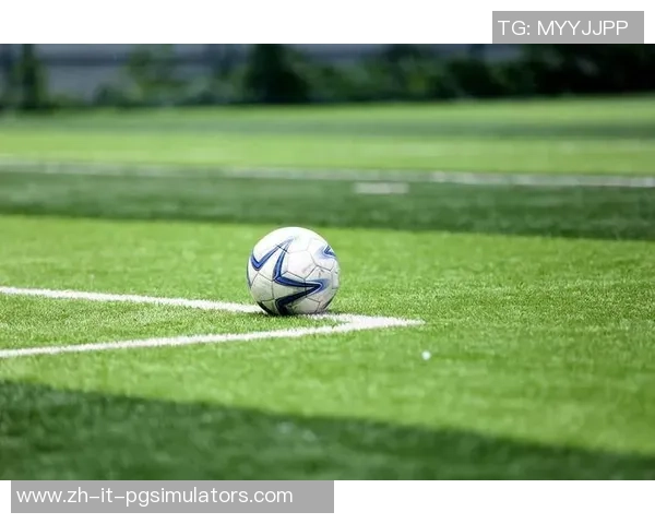 足球的魅力与精神探讨及其在全球文化中的重要性